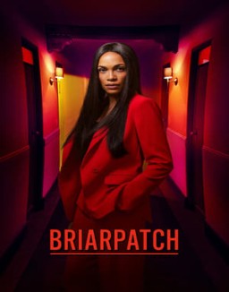 Briarpatch stream