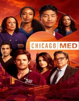 Chicago Med staffel  6 stream