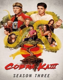 Cobra Kai staffel  3 stream