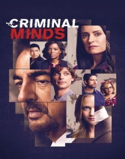 Criminal Minds staffel  1 stream