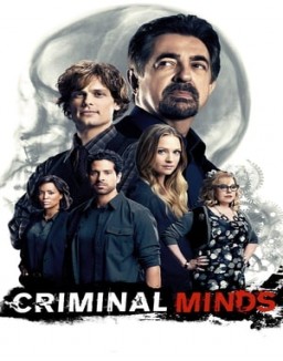 Criminal Minds staffel  12 stream