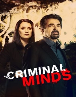 Criminal Minds staffel  15 stream