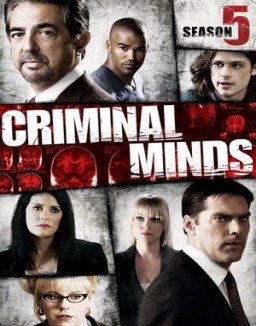 Criminal Minds staffel  5 stream