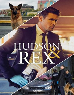 Hudson & Rex staffel  2 stream