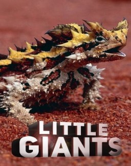 Little Giants – Kleine Tiere ganz groß S1