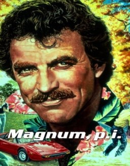 Magnum staffel  1 stream