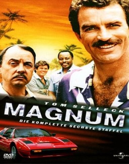 Magnum staffel  6 stream