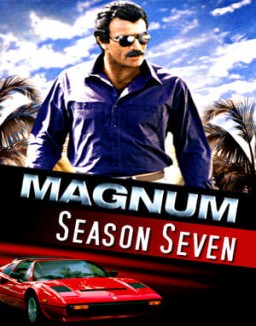 Magnum staffel  7 stream