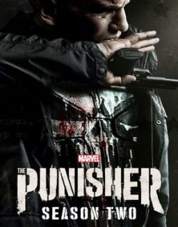 Marvel's The Punisher stream