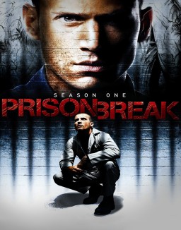 Prison Break staffel  1 stream