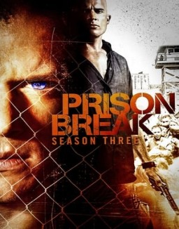 Prison Break staffel  3 stream