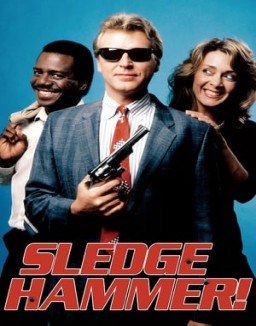 Sledge Hammer! staffel  1 stream