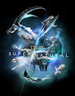 Super/Natural (2022) S1