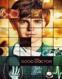 The Good Doctor staffel  1 stream