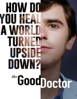 The Good Doctor staffel  4 stream