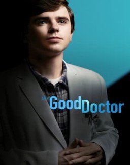 The Good Doctor staffel  6 stream