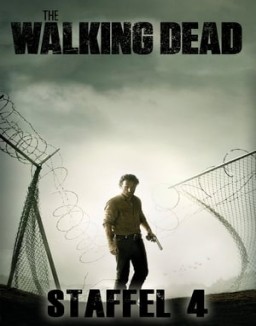 The Walking Dead staffel  4 stream