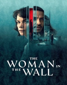 The Woman in the Wall stream